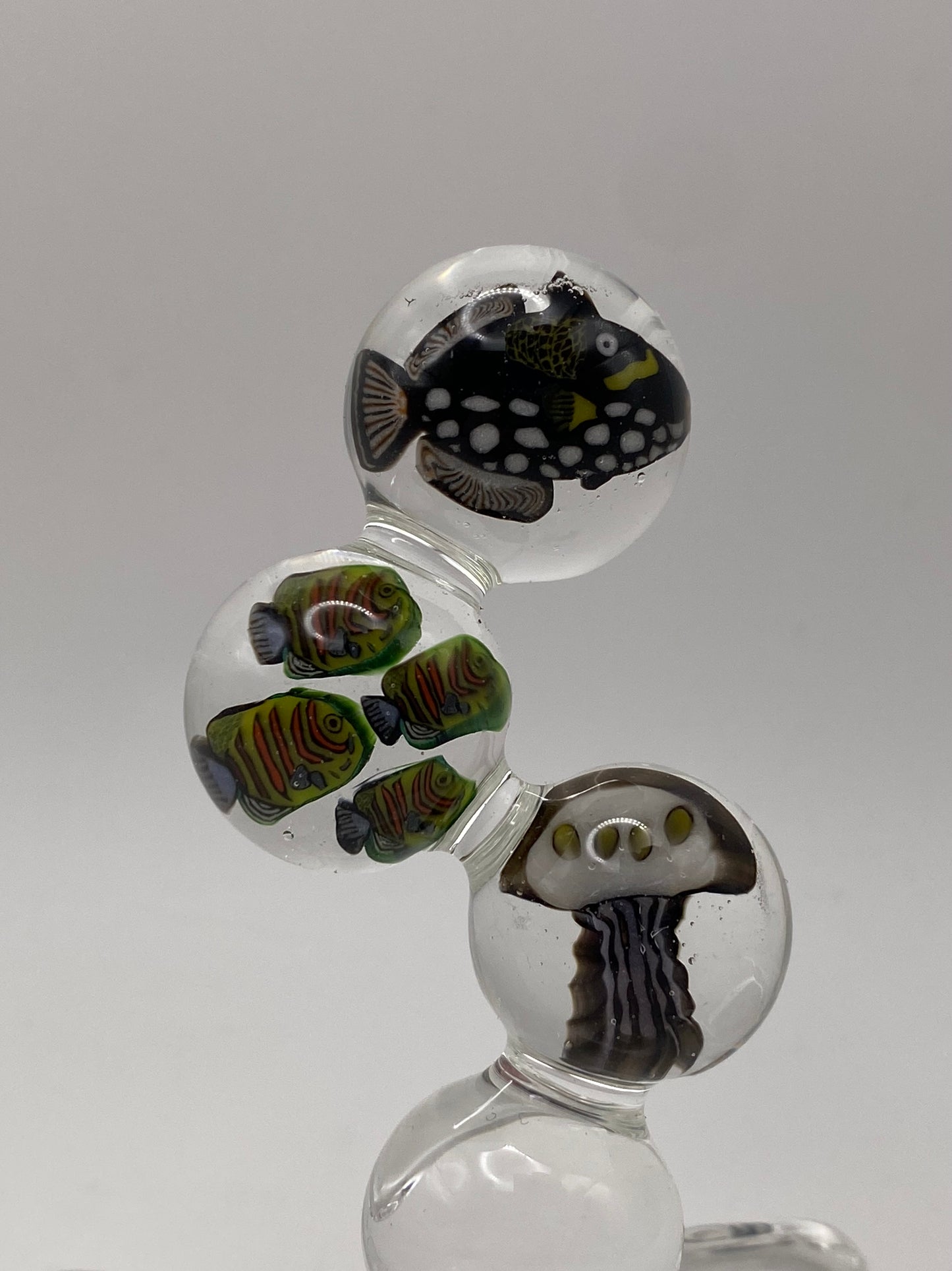 Underwater bubbles - Cowfish, School of fish, and Jellyfish
