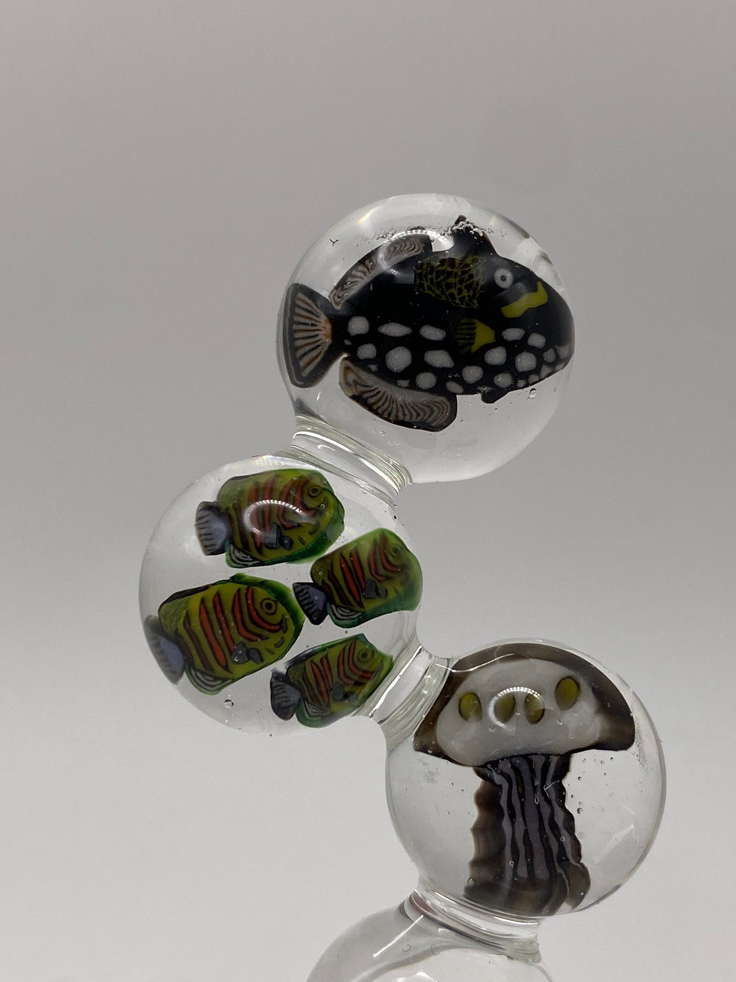 Underwater bubbles - Cowfish, School of fish, and Jellyfish