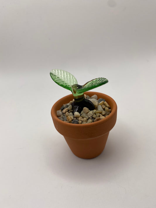 Sprout Sculpture